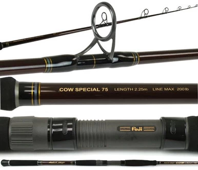 Black Hole Cow Special II 75 Popping Rod