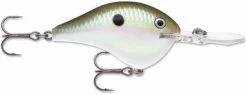 Rapala Dives To Crankbait Lure - DT10 GGSD Green Gizzard Shad