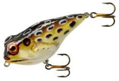 Rebel T30 Frog-R Cricket Frog