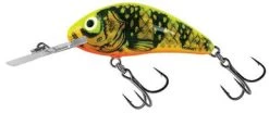 Salmo Rattlin Hornet 3.5 Floating Crankbait - Gold Fluorescent Perch