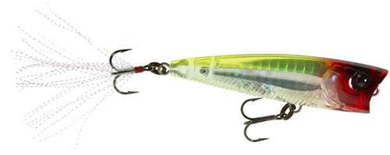 Yo-Zuri 3DB Popper Lures
